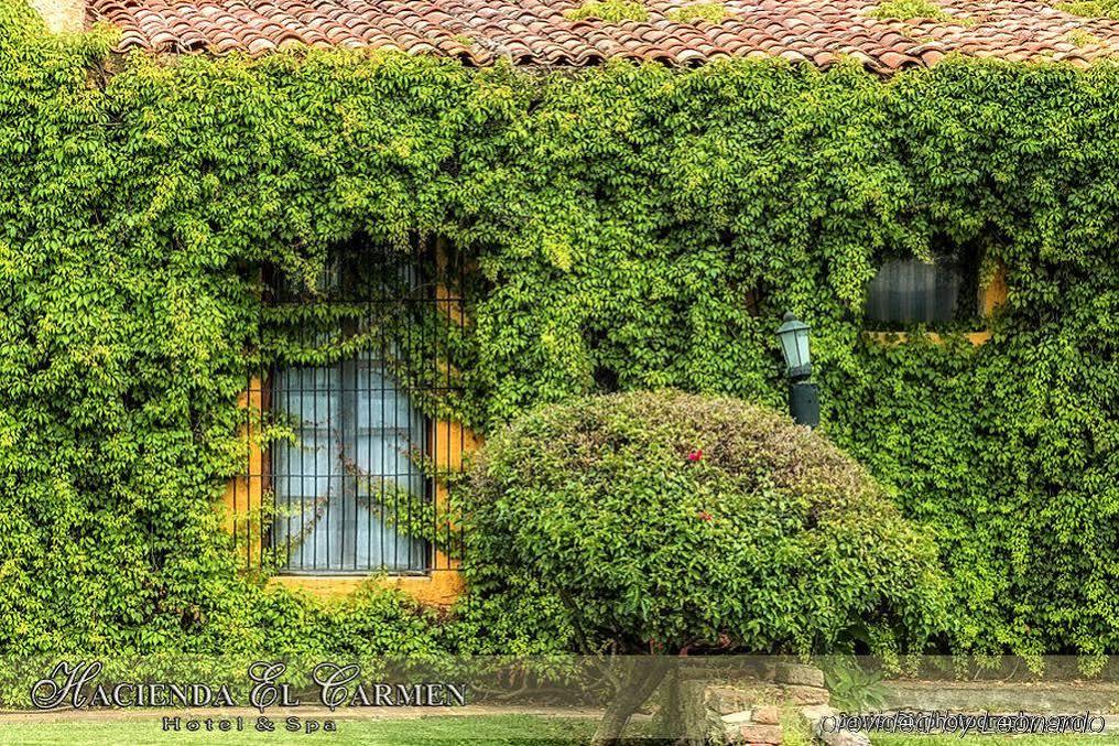 Teuchitlán Hacienda El Carmen Hotel & Spa מראה חיצוני תמונה